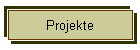 Projekte